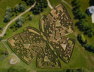 Vue aérienne du labyrinthe des Jardins de Colette en forme de papillon
