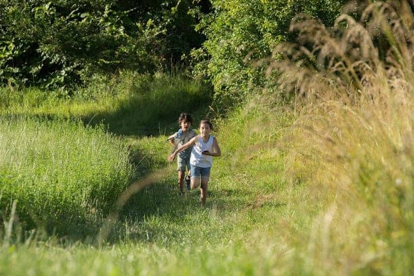 Kinderen rennen over een pad midden in de weilanden