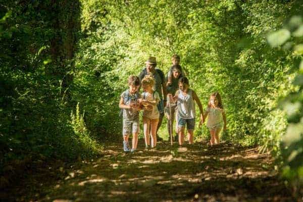 Een gezin wandelt over een pad in het bos