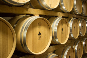 Tonneaux de vins de Branceilles