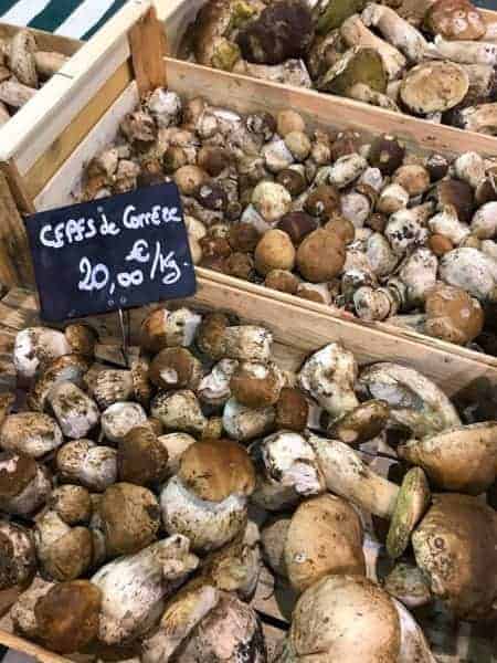 Cageot de cèpes