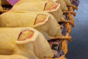 canard gras laissant apparaître le foie gras