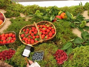 vue sur un panier garni de fraises et sur des barquettes de myrtilles et de framboises