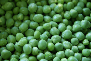 gros plan sur des petits pois