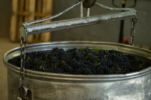 transformation de fruits pour entreprise agro alimentaire