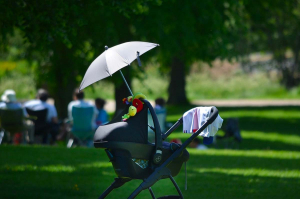 Vue sur une poussette pour nouveau-né installée dans un parc