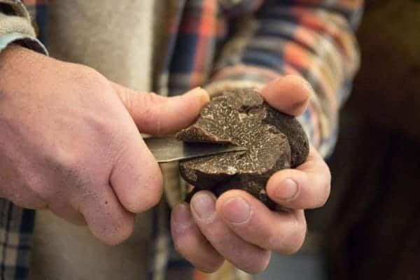 Gros plan sur la découpe d'une truffe