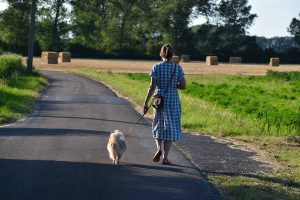 Une femme marche de dos avec son chien sur une route de campagne