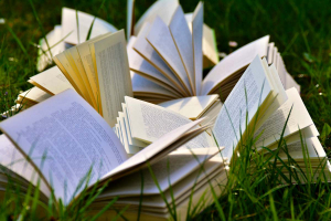 Des livres ouverts et posés sur une pelouse