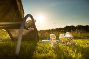 Un transat vu de derrière avec un plateau apéritif posé dans l'herbe