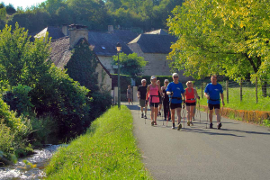 Un groupe de randonneur équipés de bâtons marchent sur une route de campagne