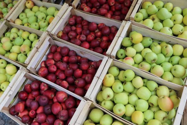 Cageots de pommes exposés à la Fête de la pomme de Brive-La-Gaillarde, début octobre.
