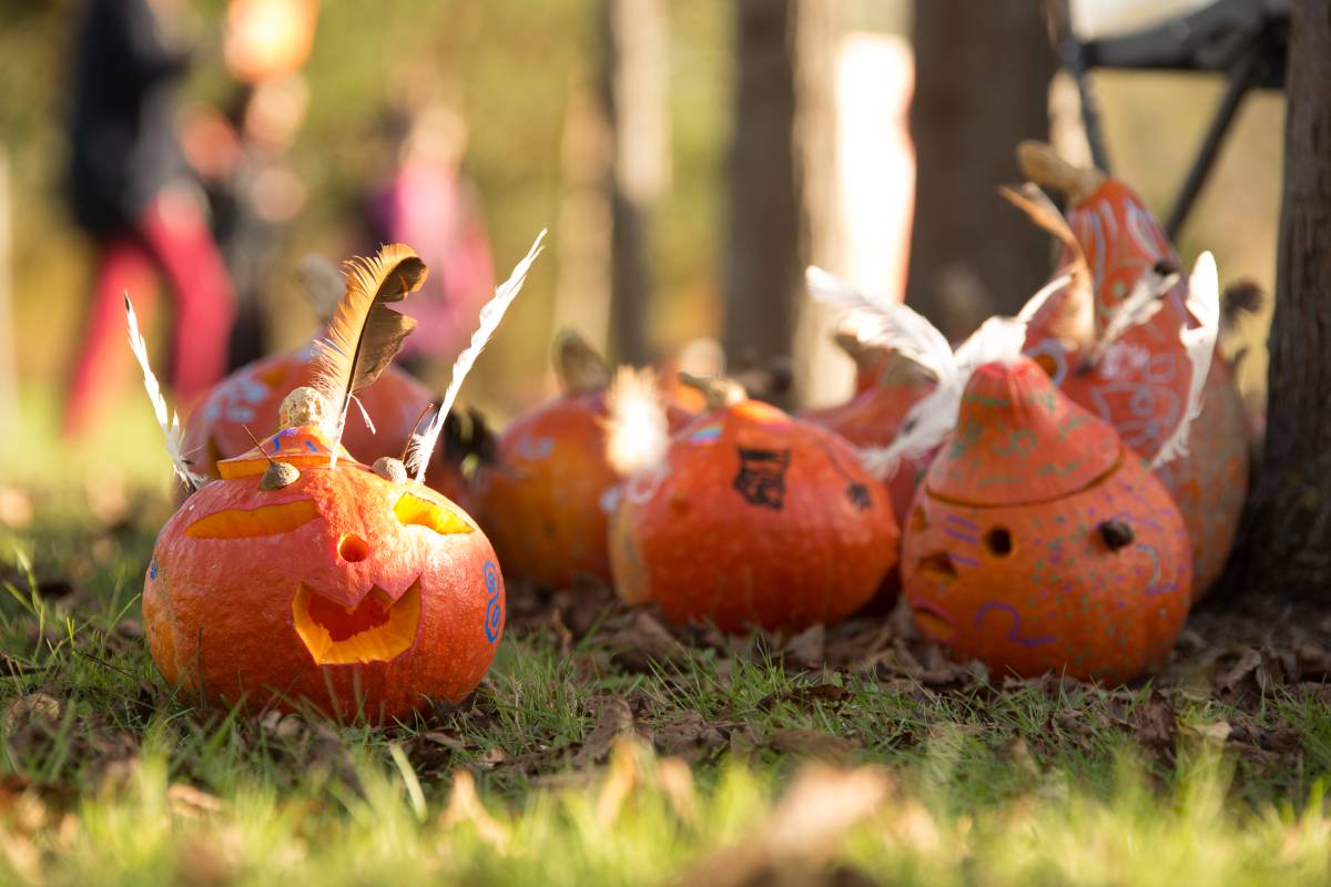 ©DR Photos de citrouilles décorées pour Halloween lors des animations aux Jardins de Colette.