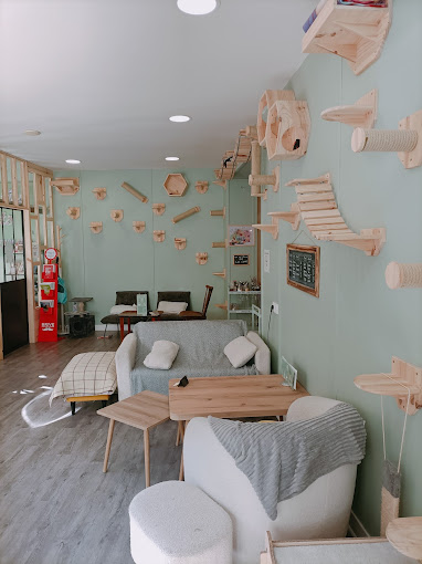 Intérieur du bar à chats Ô P'tits Chats Gaillards