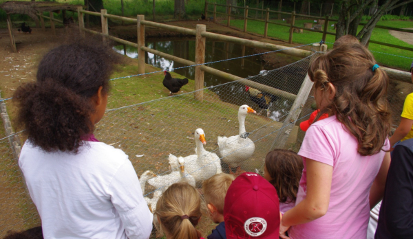 Enfants devant un poulailler
