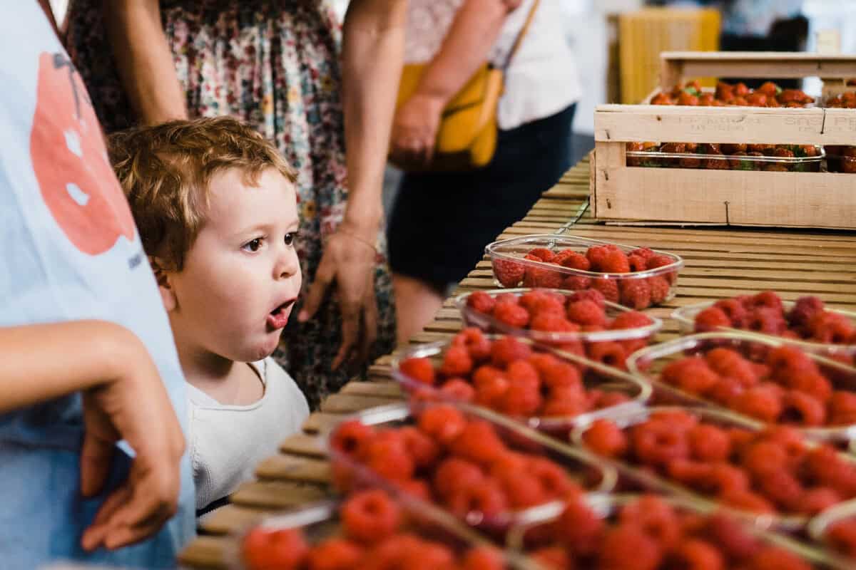 Petit garçon admirant un étal de framboises au marché de Brive-La-Gaillarde.