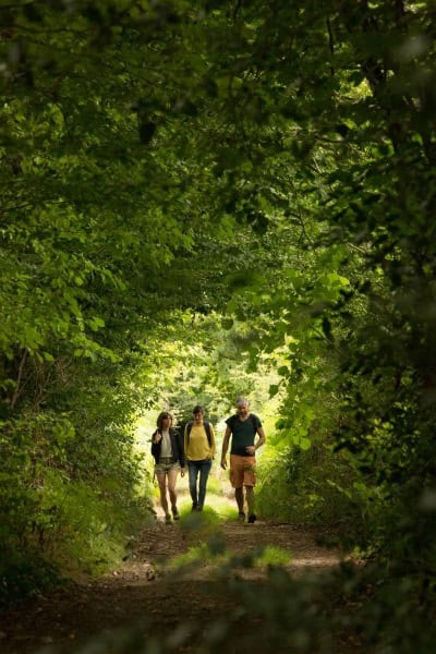 Groupe de 3 personnes faisant une rando sous les ombrages d'arbres, en Corrèze à proximité de Brive.